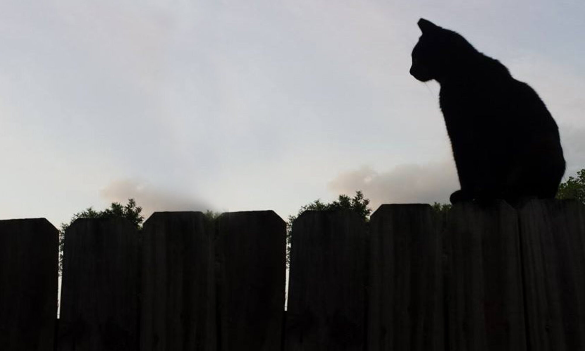 Volvo fence sky 1200